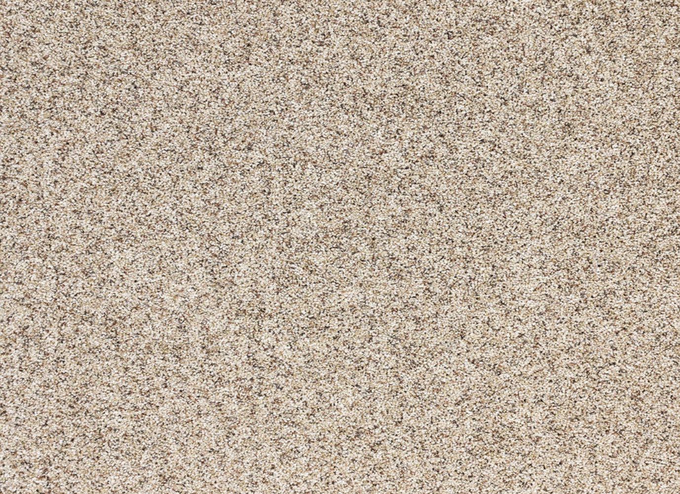 Reflections in Vista Carpet