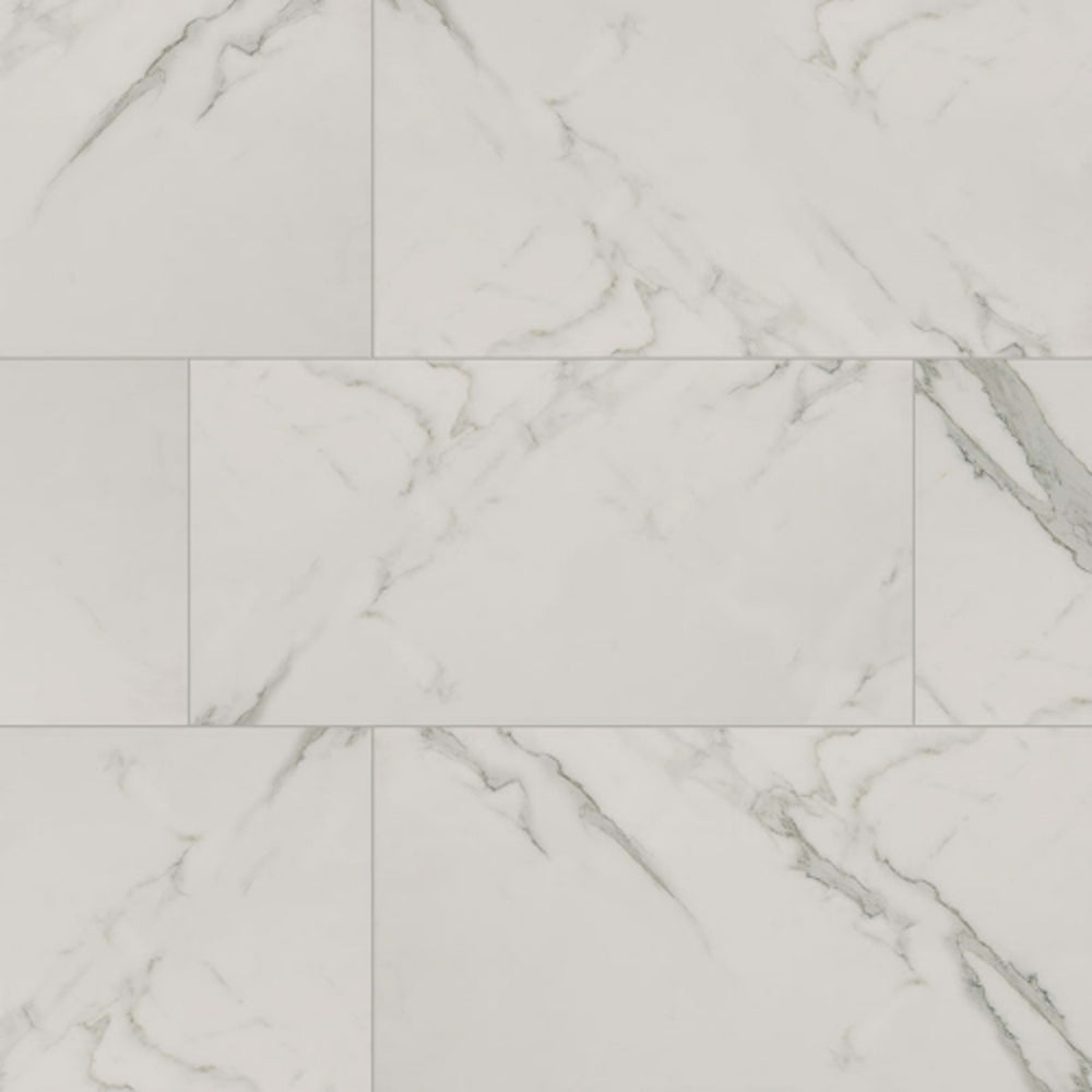 Regallo in Calacatta Isla - 12x24 Matte Tile