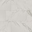 Regallo in Calacatta Isla - 12x24 Matte Tile