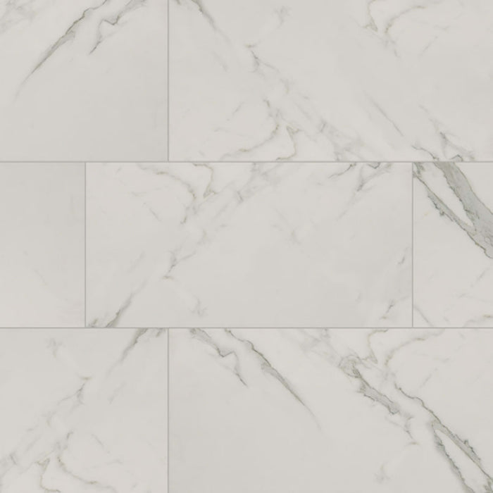 Regallo in Calacatta Isla - 12x24 Matte Tile