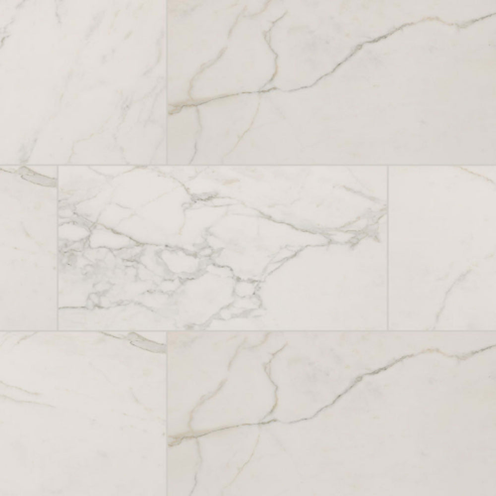Regallo in Calacatta Isla - 24x48 Matte Tile