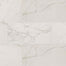 Regallo in Calacatta Isla - 24x48 Matte Tile