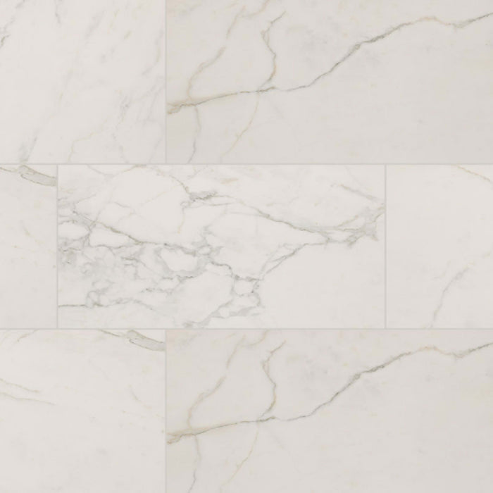 Regallo in Calacatta Isla - 24x48 Matte Tile