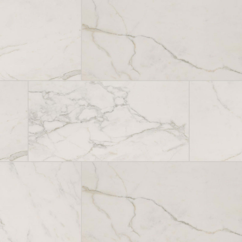 Regallo in Calacatta Isla - 24x48 Polished Tile