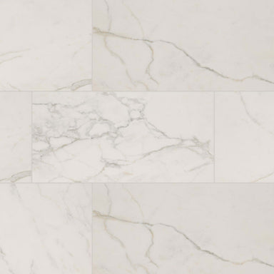 Regallo in Calacatta Isla - 24x48 Polished Tile