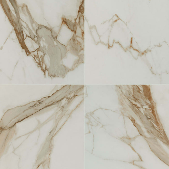 Regallo in Calacatta Marbella - 24x24 Polished Tile