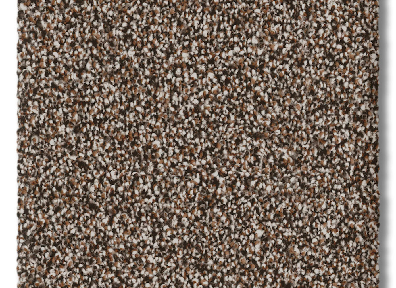 Everest in Sierra Carpet