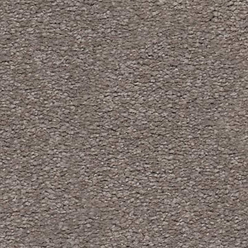 Rich Taupe
