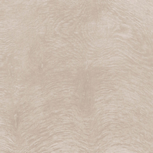 Rover in Beige  - 8x48