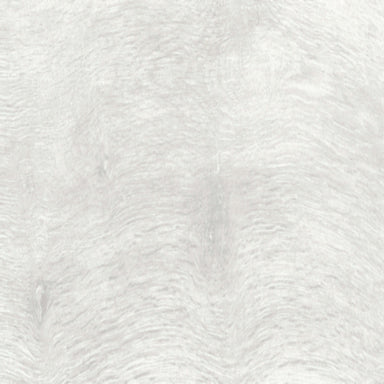 Rover in Bianco  - 8x48 Tile