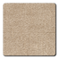 Roxbury in Pebble Carpet
