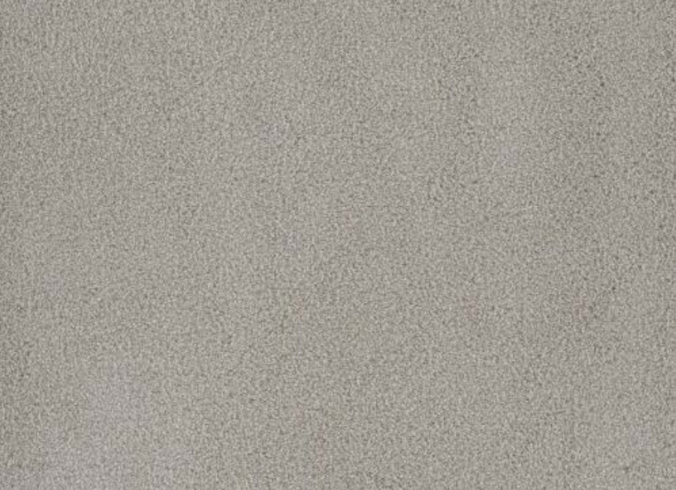 PALMETTO II in Royalty Carpet