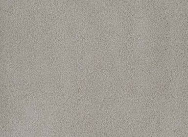 PALMETTO II in Royalty Carpet