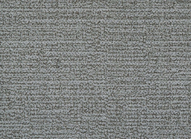 Nueva Vista in Carbon Carpet