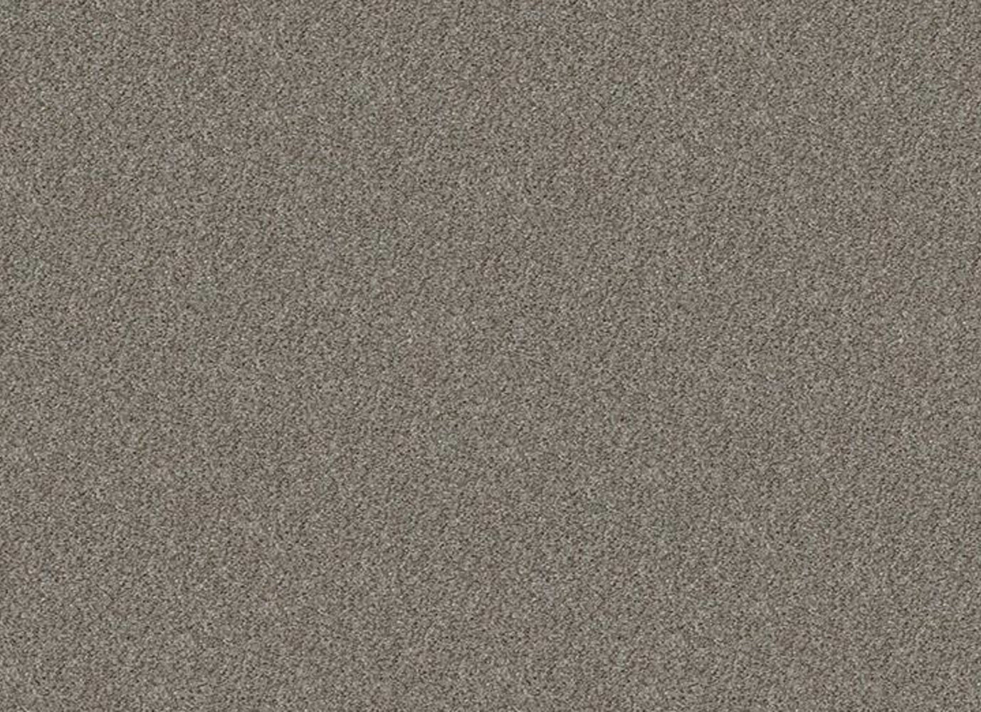GIG HARBOR in Sierra Mist Carpet