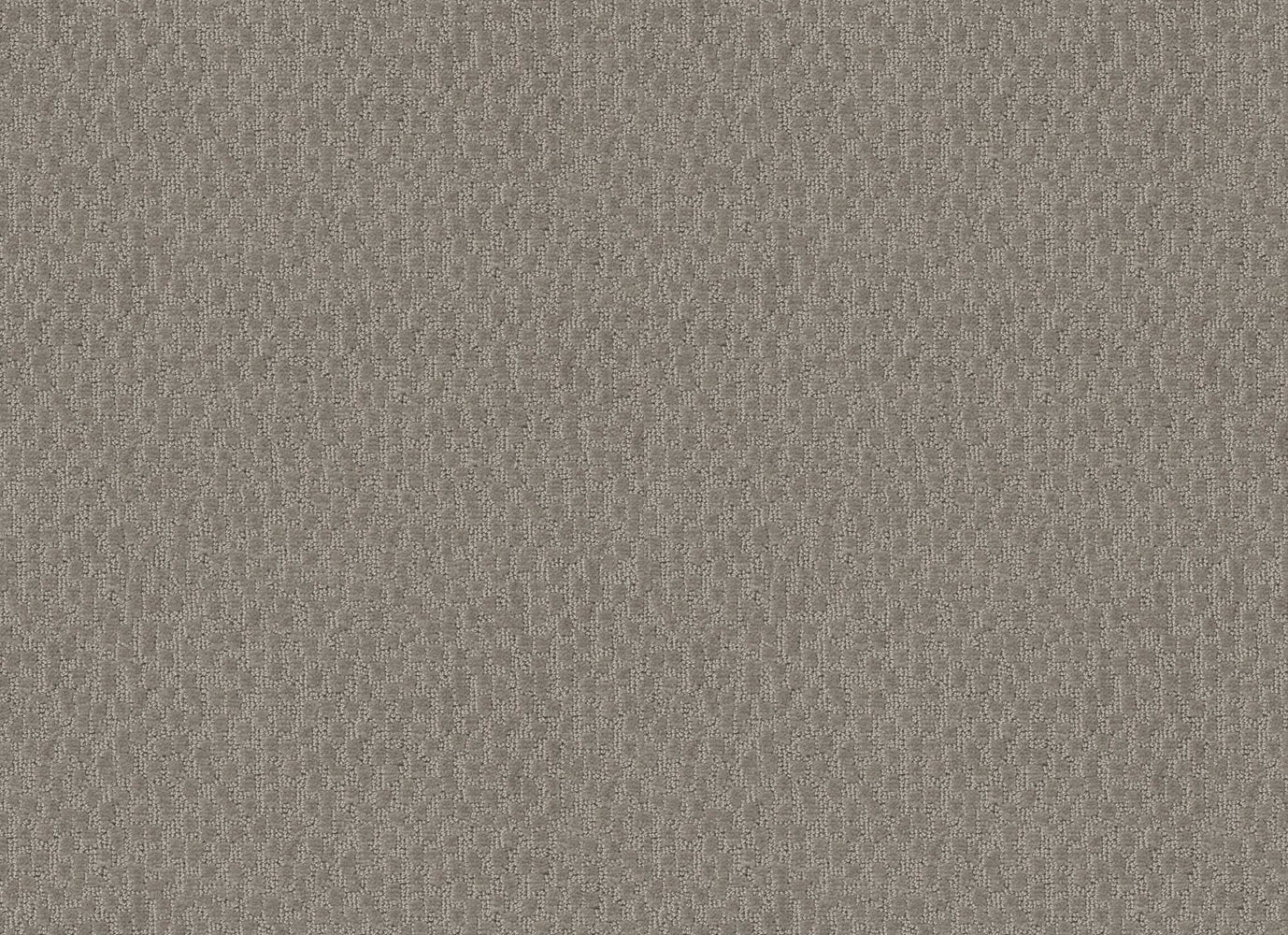 CASCADE CANYON in Mineral Carpet