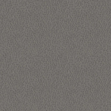Iron