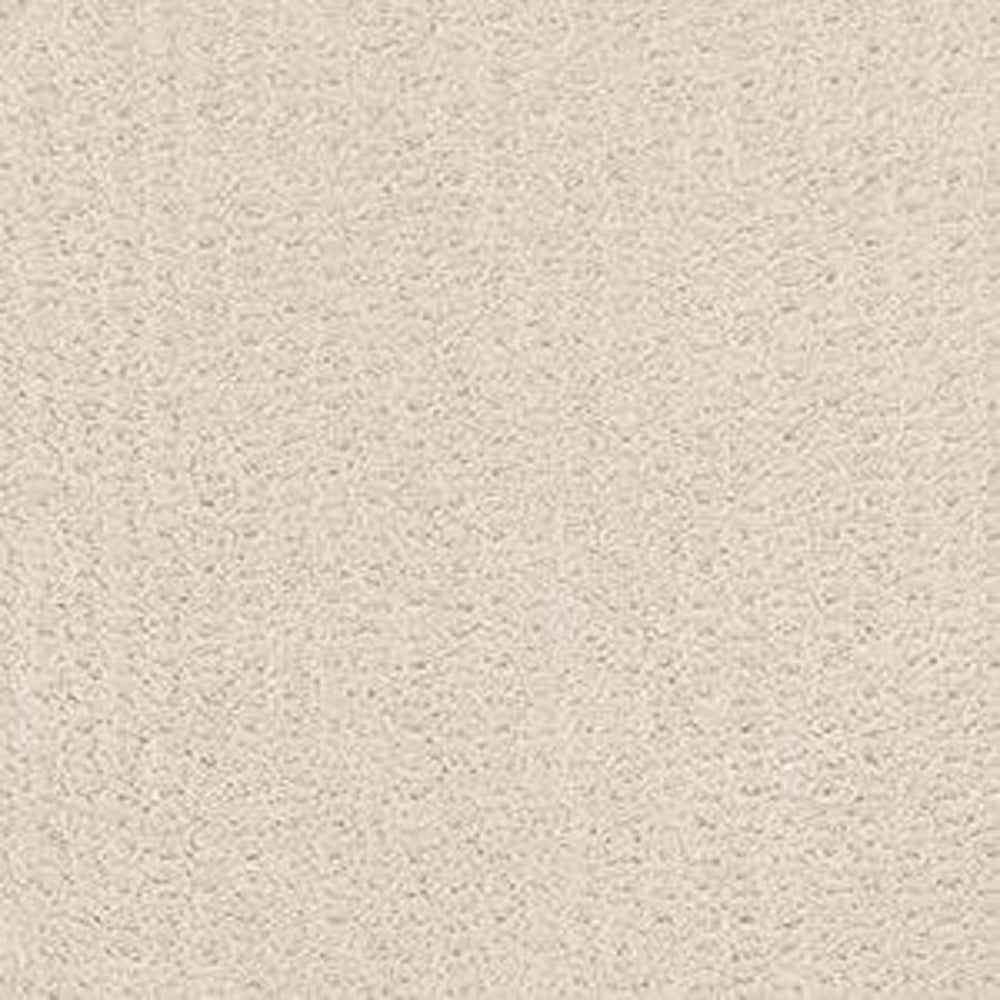 ALDERBROOK PLACE in Alabaster Carpet