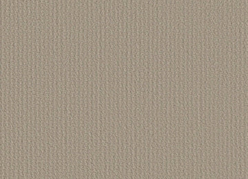Studio Taupe