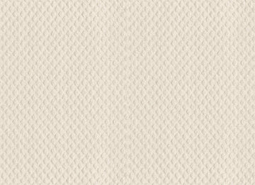 Crisp Linen