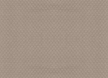 Studio Taupe