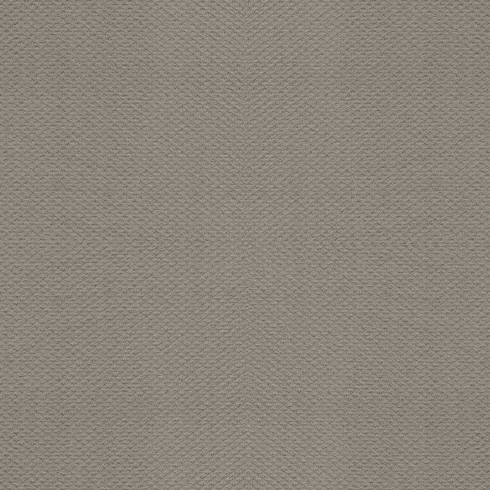 BALLARD AVENUE in Silhouette Carpet