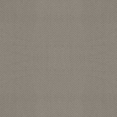 BALLARD AVENUE in Silhouette Carpet