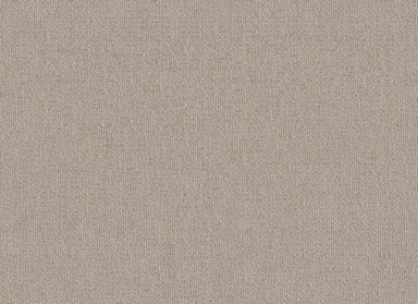 BRANDEBERRY in Quiet Moment Carpet