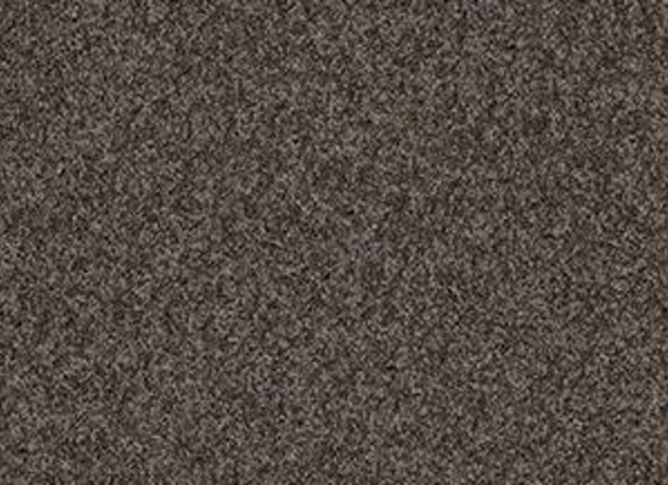 HAWKES LANDING in Chocolate Carpet