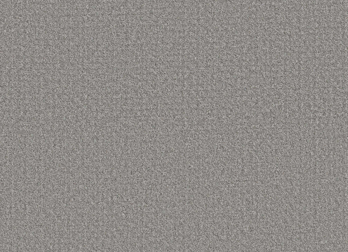 BLUE CEDAR in Grey Fox Carpet
