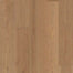 Argonne Forest Hickory in Highlands Hardwood