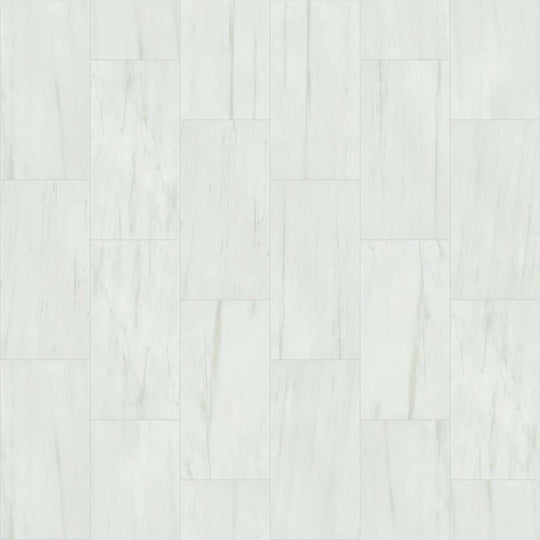 VISION 12X24 POLISH in Bianco