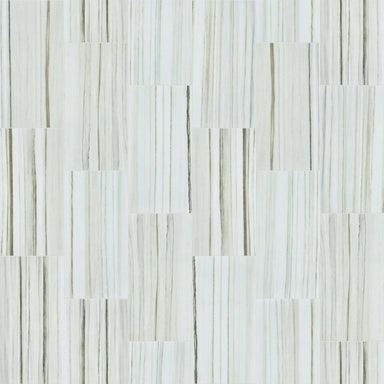 VISION 12X24 POLISH in Zebrino Tile