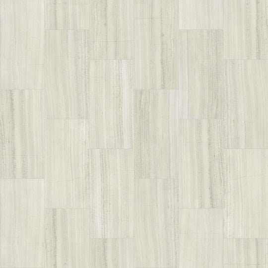 VISION 12X24 POLISH in Ash