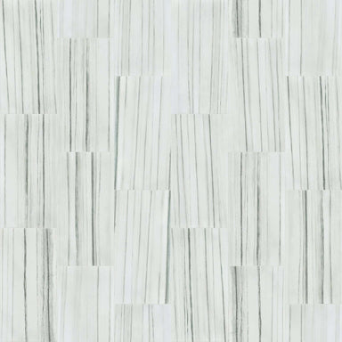 VISION 16X32 POLISH in Zebrino Tile
