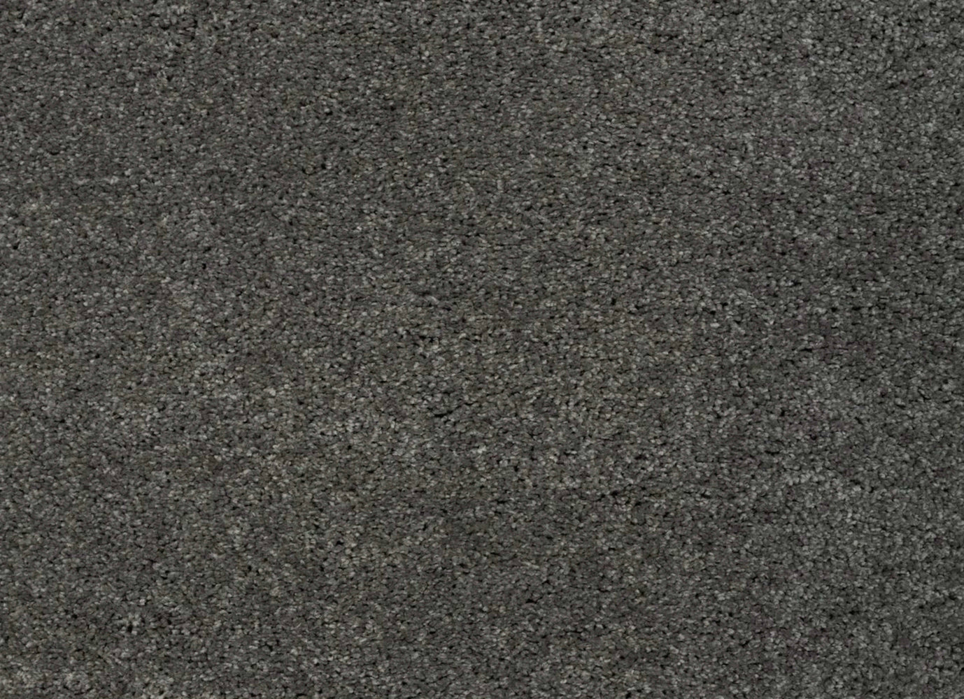 Simply Amazing in Boardwalk            Carpet