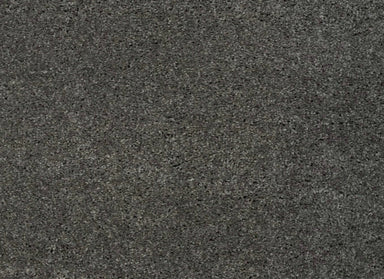 Simply Amazing in Boardwalk            Carpet