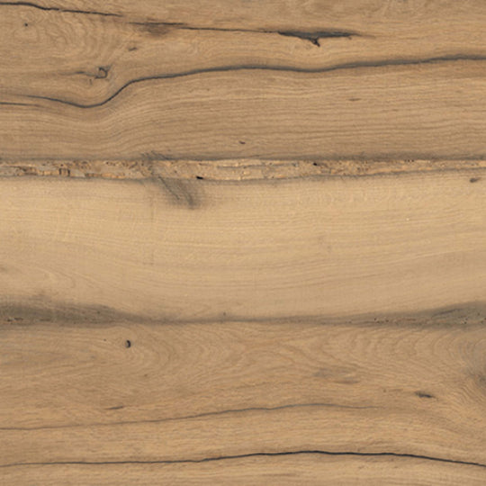 Scarlet in Oak