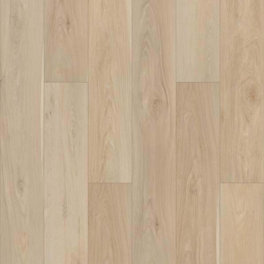 BERKLEY HD PLUS in Alabaster