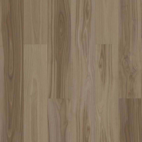 BERKLEY HD PLUS in Bluff