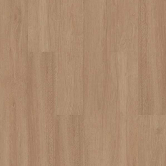 BERKLEY HD PLUS in Honeycomb