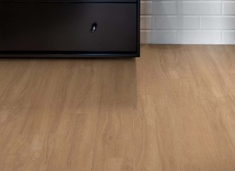 BERKLEY HD PLUS in Jasper