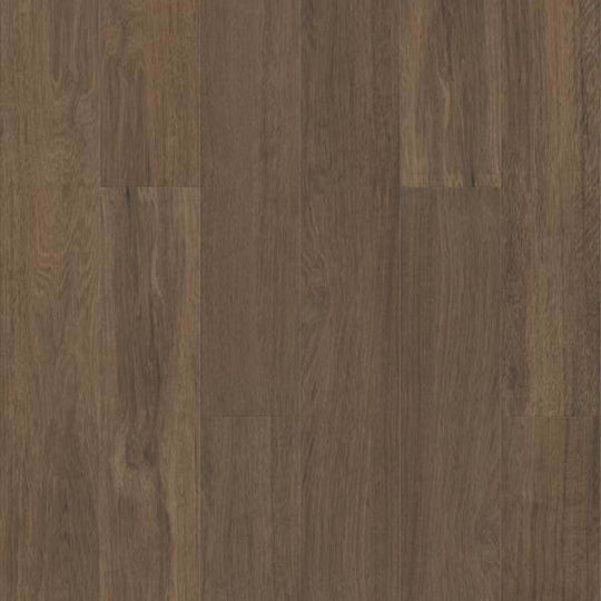 BERKLEY HD PLUS in Cordovan