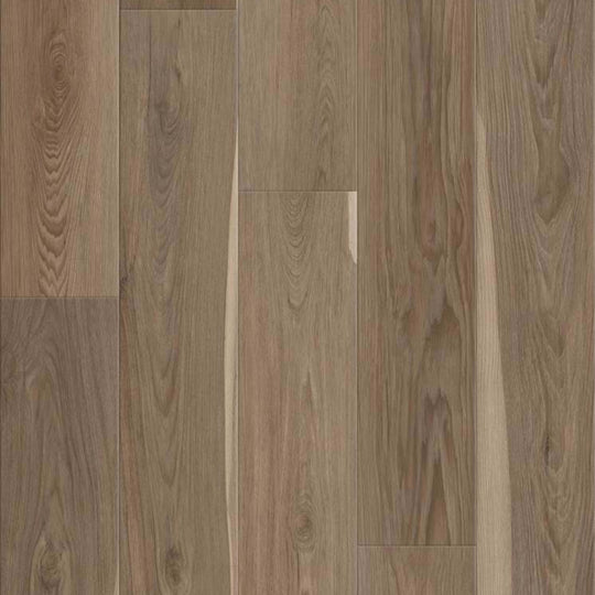 BERKLEY HD PLUS in Truffle