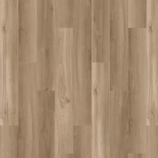 Arbor Terrace in Hartley