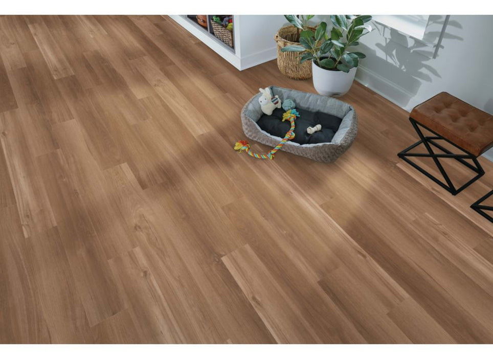 Arbor Terrace in Eastmont