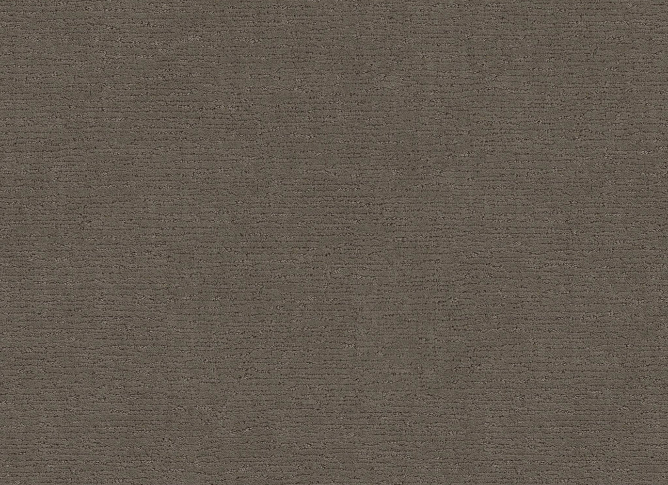 DORNAN HEIGHTS in Dash Carpet