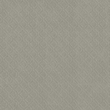 Gentle Gray