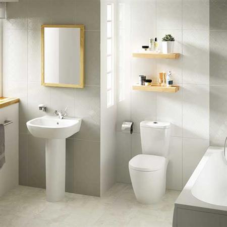 Showscape in Currant Brushstroke 12x24