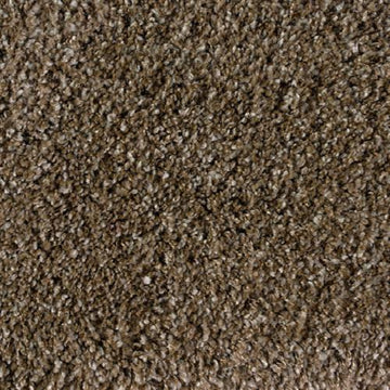 Metallic Beige
